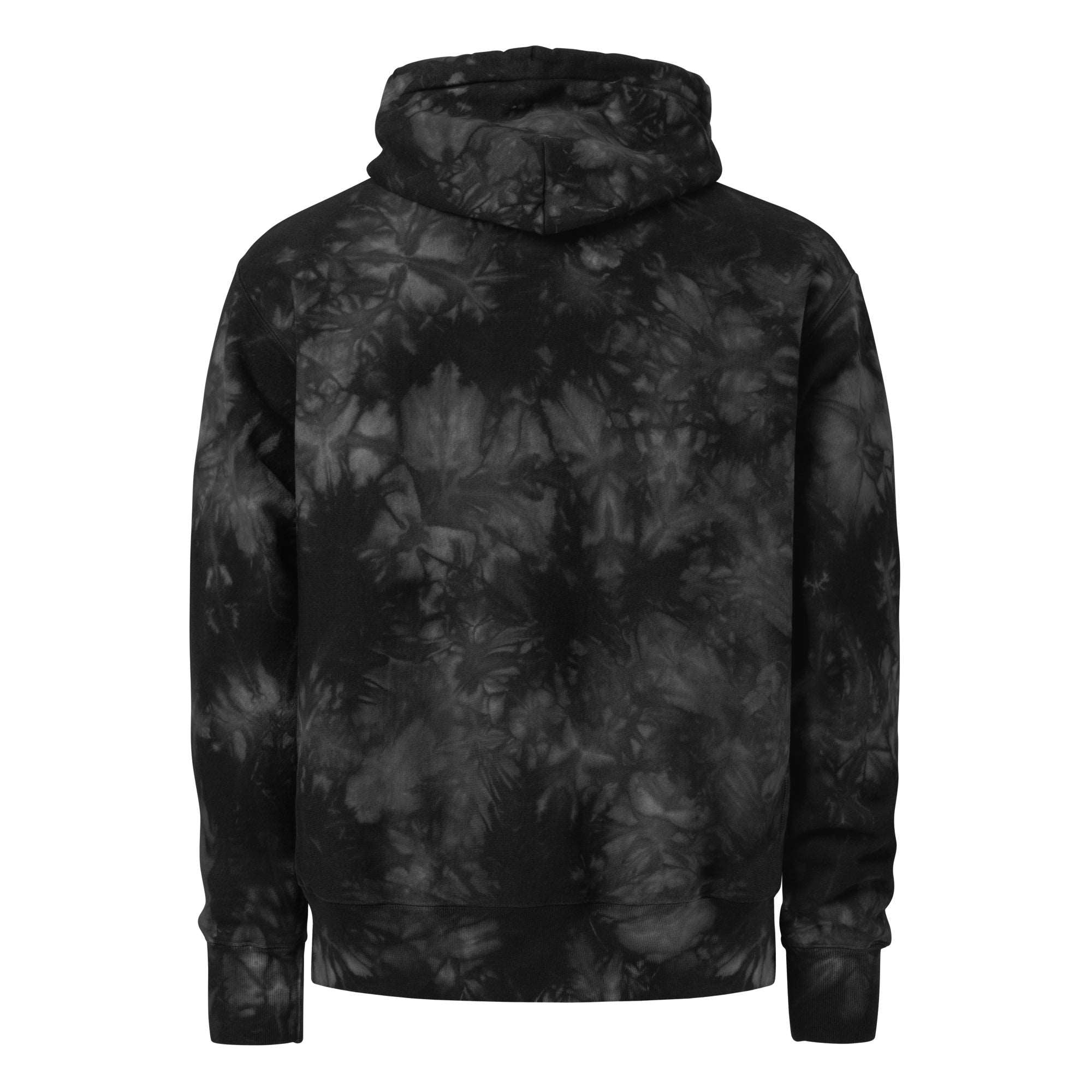 Men's Champion ICN-2 Hoodie