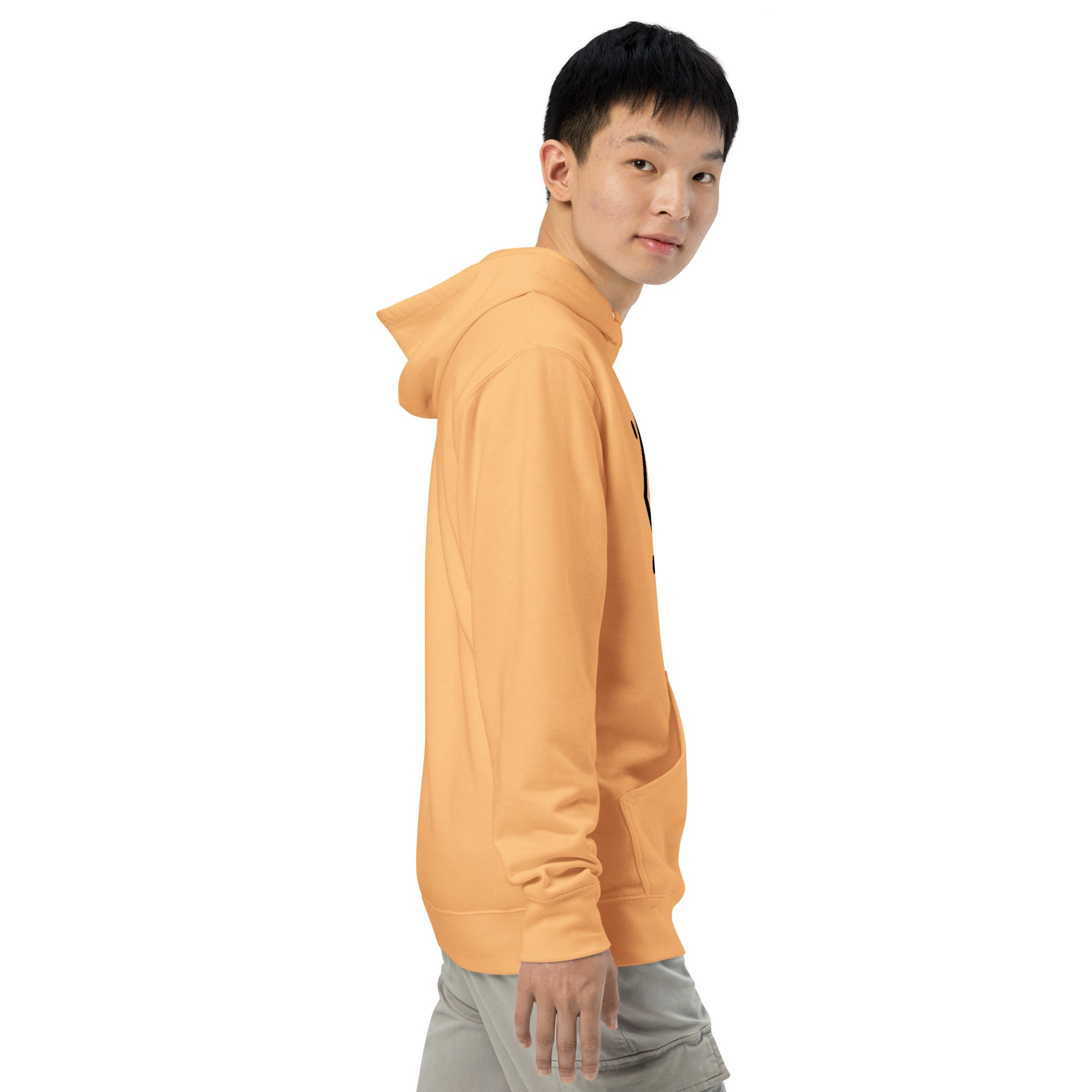 Men's Midweight Icon-2 Hoodie LC